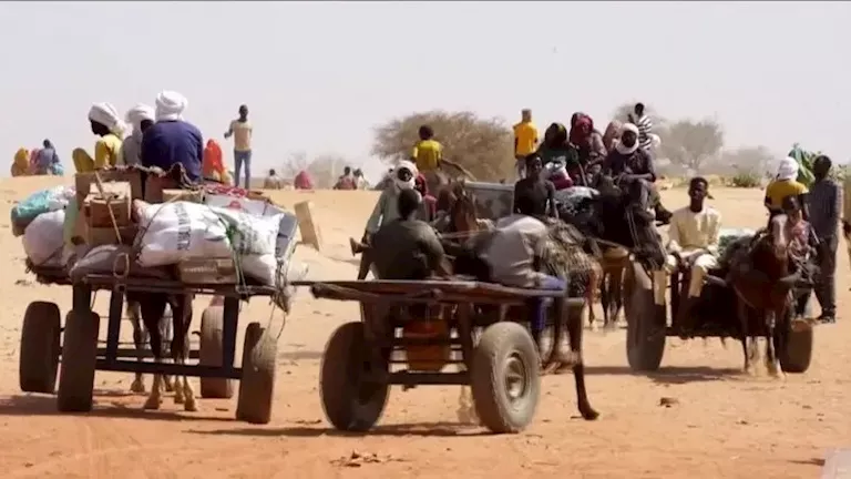 ad10b9d0-6493-11f0-89ea-4d6f9851f623_11zon