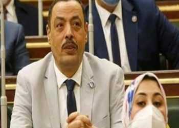 برلمانى: عهد الرئيس تميز بمواجهة الفساد بجميع صوره وأشكاله
