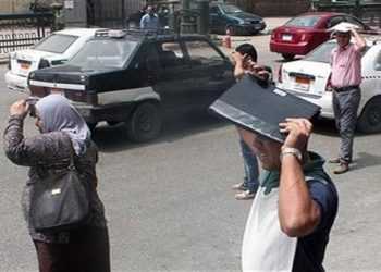 حدث ليلاً| تفاصيل سلالة الدواجن الجديدة.. وطقس شديد الحرارة اليوم