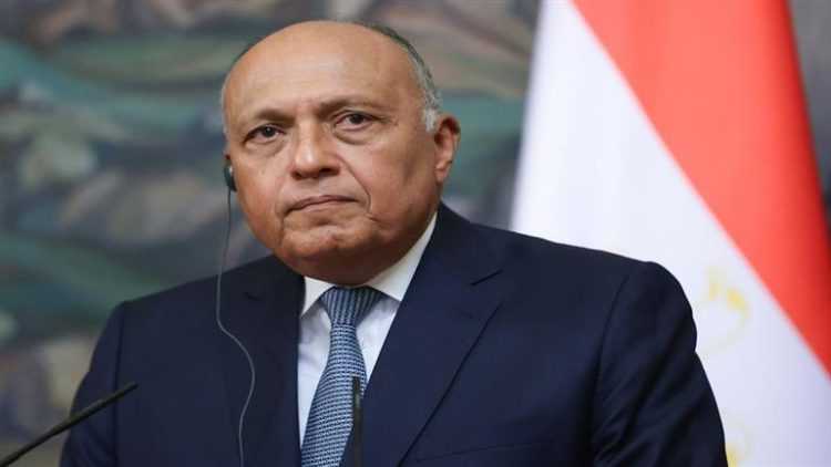 شكري: اهتمام مصري بتعزيز التعاون مع النرويج في مجال إنتاج الطاقة المتجددة