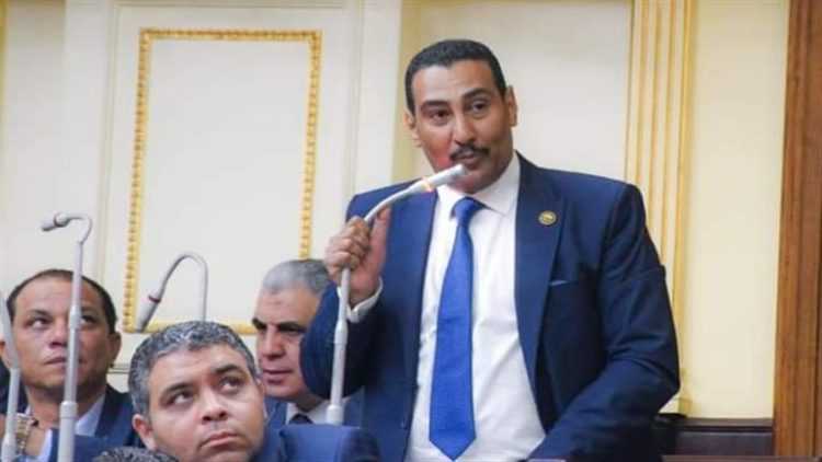 على غرار الكهرباء والسياحة.. برلماني يطالب بشرطة للثروة المعدنية