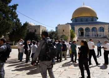 الأوقاف الإسلامية بالقدس : عشرات المستوطنين يقتحمون المسجد الأقصى