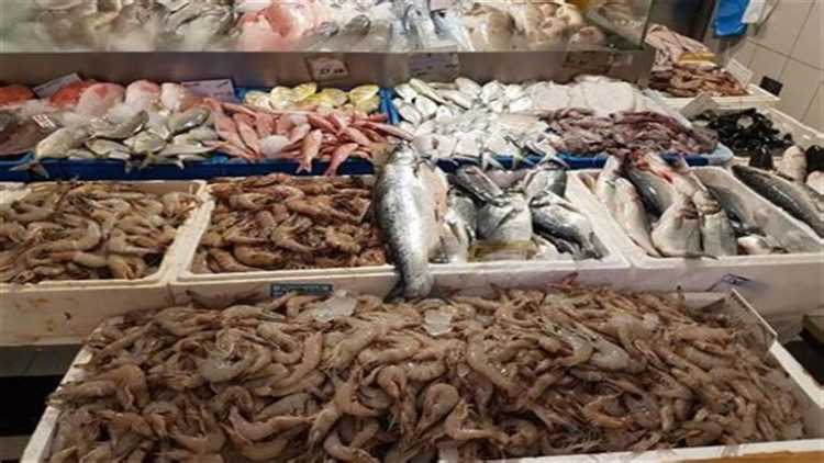 انخفاض البلطي وارتفاع البوري.. أسعار السمك في سوق العبور اليوم