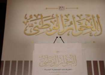الحوار الوطني.. “عضو التنسيقية” توصي بسرعة إصدار قانون جرائم العنف الأسري