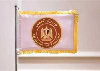 يحتاجها السوق.. العمل: دورات تدريبية مجانية للشباب بالوادي الجديد على 4 مهن