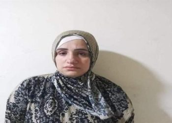 بعد الحكم على البلوجر هبة السيد وابنها.. ماذا طلبت المحكمة من المُشرع خلال الجلسة؟