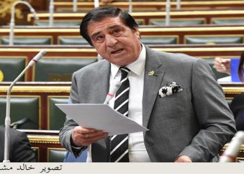 رئيس “عربية النواب”: مصر دولة ذات سيادة.. والمصريون سيصطفون فى الانتخابات الرئاسية
