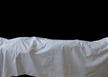 توصيلة الموت.. جزار استدرج سائق وذبحه للاستيلاء على “توكتوك”