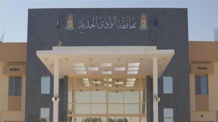 الزملوط:  “صحة الوادي الجديد” الأعلى في تقديم خدمات المبادرة الرئاسية لصحة المرأة