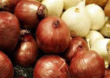 سعر البصل والسكر.. إدراج محتكري السلع على قوائم الإرهاب “طلب برلماني” وطباعة الأسعار -فيديو