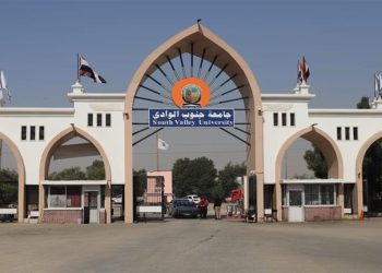 أول قرار من القضاء في واقعة “نائبة الغش” بجامعة جنوب الوادي