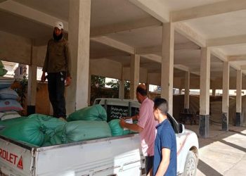 توريد 373 ألف طن قمح في موسم الحصاد بالشرقية