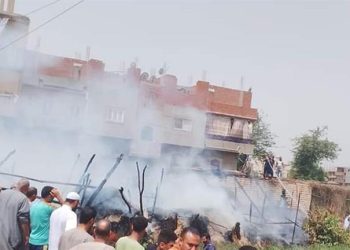 بسبب الحر.. حريق يلتهم 3 حظائر ماشية بالمنوفية (صور)