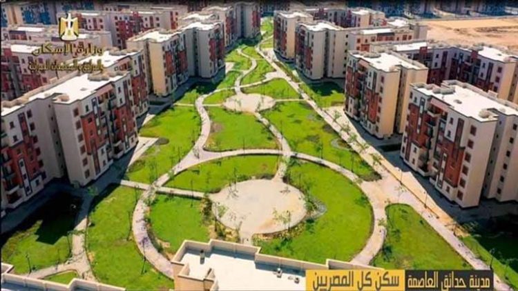 الإسكان: نضطر لقطع الأشجار في سبيل شق المحاور ونعوضها بأضعاف المساحات – صور