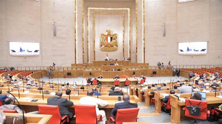 نائب: ضيوف مصر يمثلون عبئا على الموازنة العامة