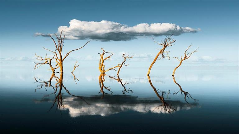 20 صورة من سحر العالم.. اللقطات الفائزة بجوائز التصوير الفني 2024