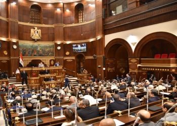 برلماني: بيان “الخارجية” يؤكد التزام القاهرة برفض الوجود الإسرائيلي في محور صلاح الدين