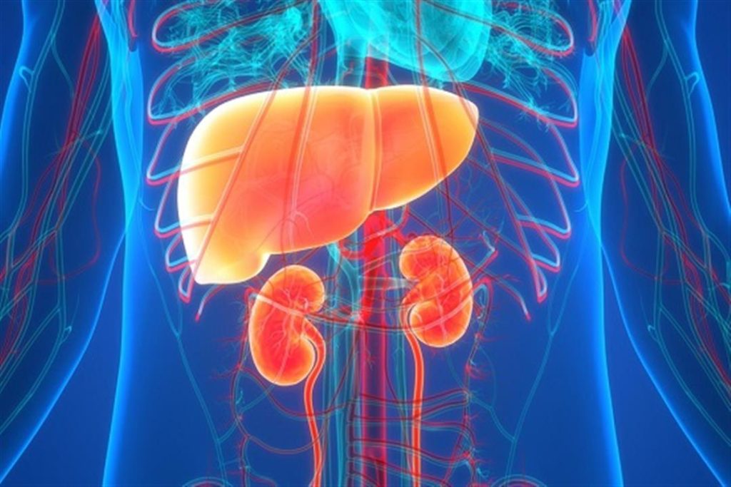 “حافظ على كليتيك” 3 عادات صحية إلتزم بها صباحا
