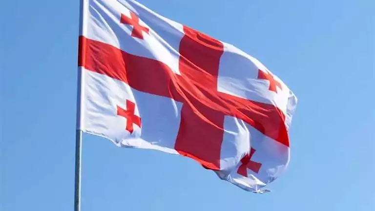 اختيار رئيس جديد في جورجيا والمعارضة تعارض العملية