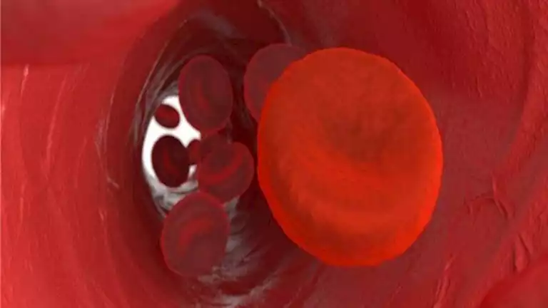 مشروب تناوله على الريق يحسن الدورة الدموية ويطرد السموم من الكبد