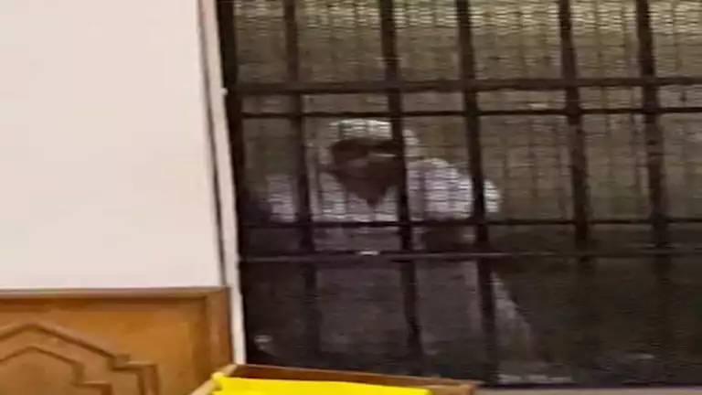 “أنوش” في التحقيقات: عرضت مقاطع فيديو مثيرة لتحقيق مكاسب مادية