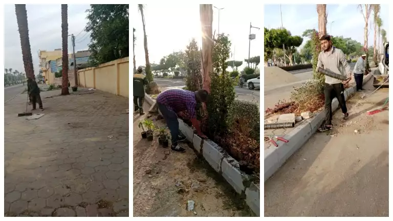 بدء تطوير وتشجير الجزيرة الوسطى في شارع سلمي سليم بالأقصر (صور)