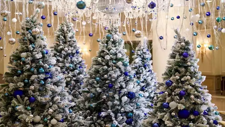 تصل لـ 90%.. حفلات ليلة رأس السنة تنعش إشغالات الفنادق بالإسكندرية (بالأرقام)