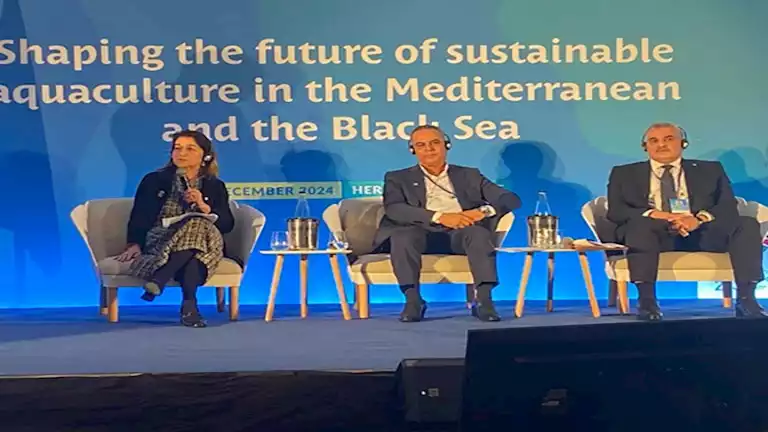 “جهاز تنمية البحيرات”: التغيرات المناخية تُفقد المزارع السمكية نسبة كبيرة من الإنتاج