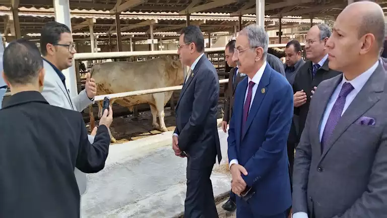 رئيس “البحوث الزراعية”: أصبحنا رقم واحد في حجم إنتاجية القمح والأرز