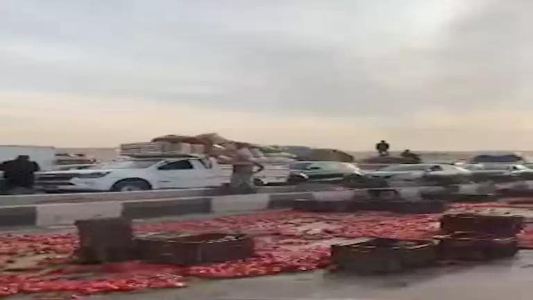 “الطريق بقى صلصة”.. انقلاب حمولة طماطم أعلى الدائري
