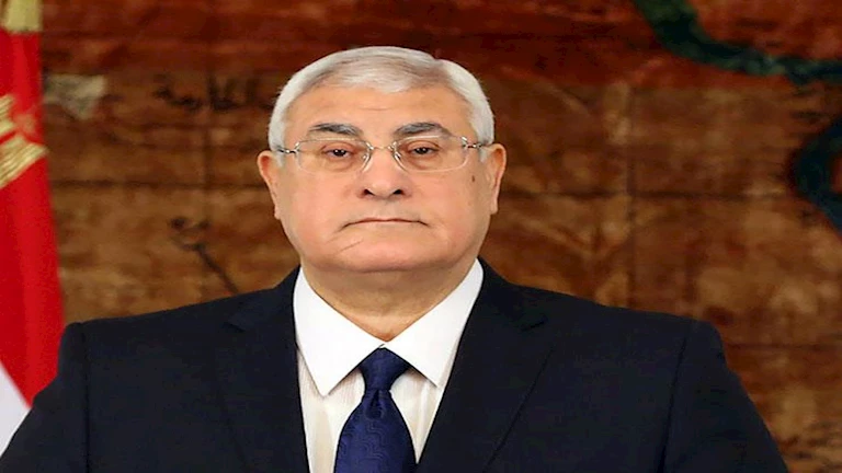 مكتب المستشار عدلي منصور ينفي امتلاك رئيس الجمهورية السابق حسابات على سوشيال ميديا”