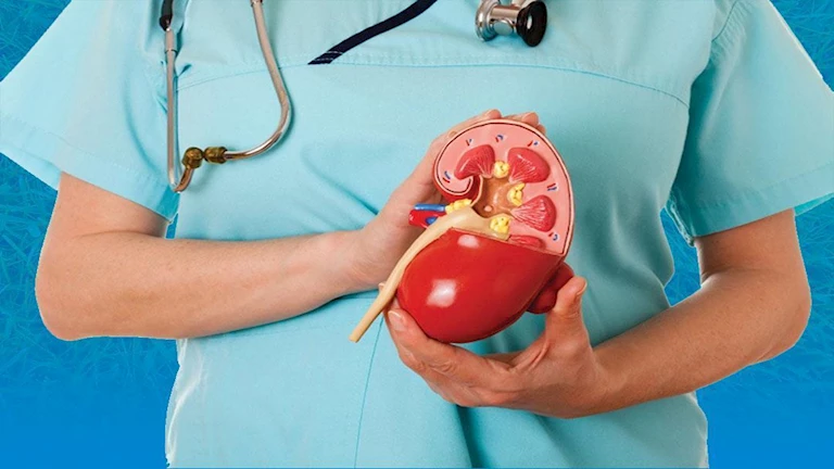 علامات شائعة قد تشير إلى تليف الكلى.. لا تتجاهلها