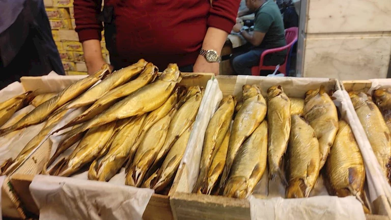 هل تناول الرنجة والفسيخ في “شم النسيم” يرتبط ببعض المخاطر الصحية؟.. باحث يوضح