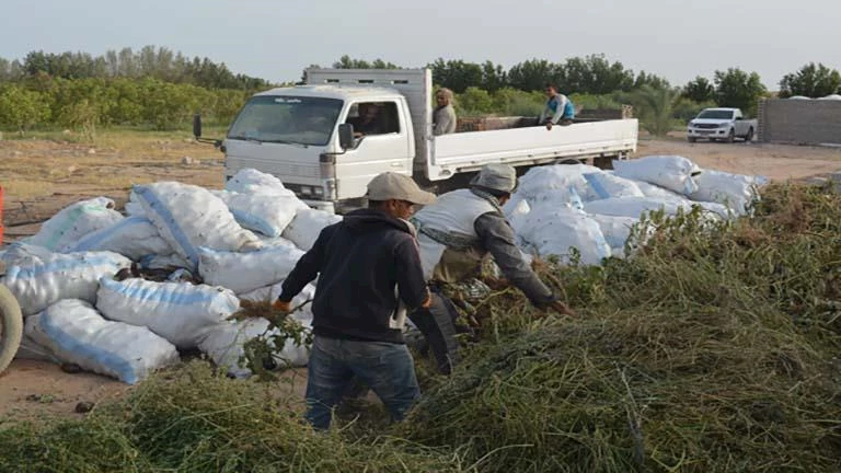 متحدث الزراعة: خطوة تنظيمية جديدة للارتقاء بالثروة الحيوانية