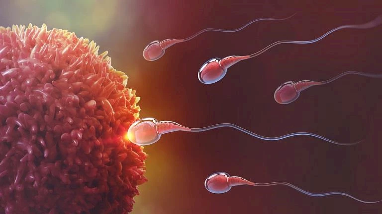 دون آثار جانبية خطيرة.. “آدم” وسيلة منع حمل ذكورية فعالة