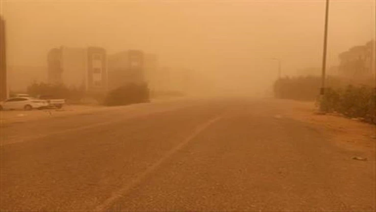 نشرة التوك شو| تحذيرات من العاصفة الترابية غدًا والسيرك القومي يعلق على واقعة “نمر طنطا”