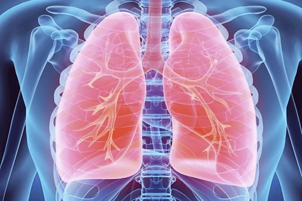 5 طرق للحفاظ على صحة الرئتين والتنفس