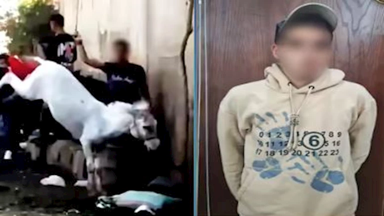 قرار عاجل من النيابة في فيديو سائحة وسايس بالهرم