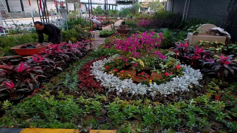 اليوم.. افتتاح معرض زهور الربيع في نسخته الـ92