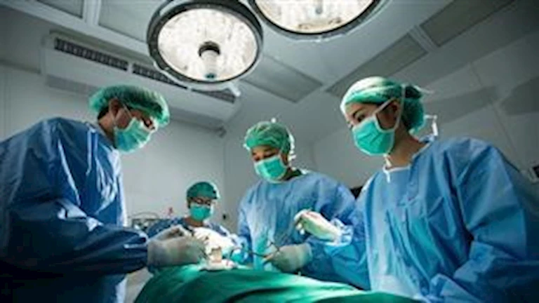 130 يوماً بكلية خنزير.. سيدة أمريكية مريضة بالفشل الكلوي تعيش 4 أشهر بعضو حيوان