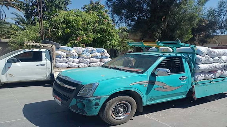 بعد تبخير جميع المواقع التخزينية.. بدء موسم توريد محصول القمح في الأقصر