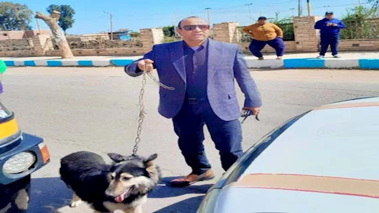 شاب يروع الطلاب ويعاكس الفتيات بكلب شرس في الدقهلية.. وتحرك عاجل من المسؤولين