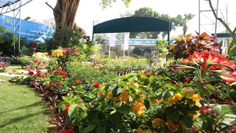 المدير المساعد لـ “الفاو”: نستهدف الخروج بمعرض الزهور للعالمية في نسخته القادمة