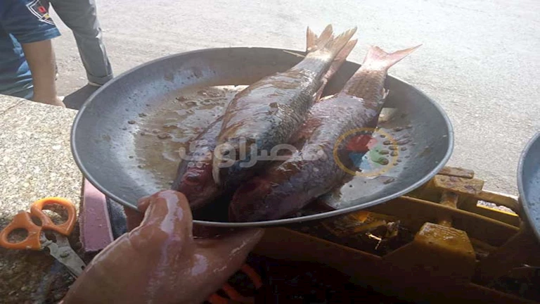 شعبة الأسماك: زيادة كبيرة في أسعار الفسيخ والرنجة تزامنا مع “شم النسيم”