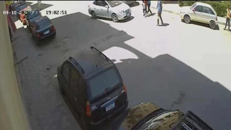 تجديد حبس موظف بالمعاش شرع في قتل جاره دهسًا في حلوان