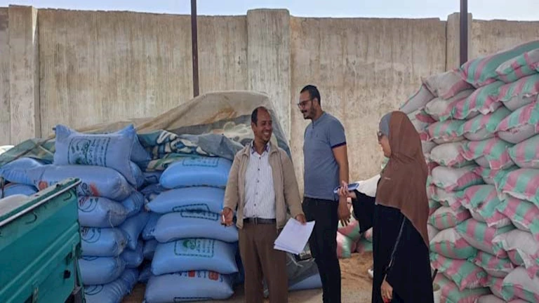 بالصور- توريد 15 طن قمح بجنوب سيناء