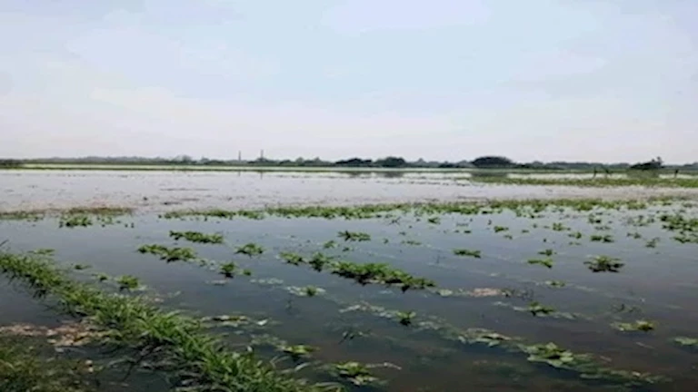 نشرة التوك شو| غرق أراضي “طرح النهر” بالمنوفية وأصداء إقصاء الأهلي من أبطال أفريقيا