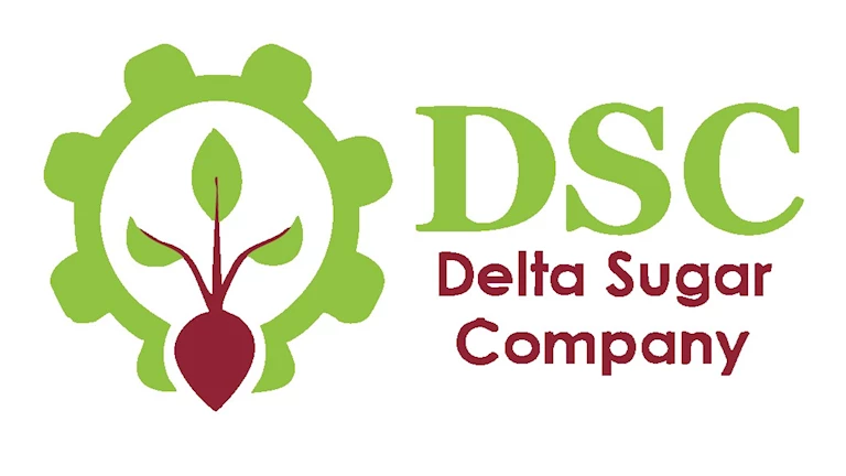 مبيعات “الدلتا للسكر” تقفز بنسبة 264% خلال الربع الأول من العام.. فما الأسباب؟