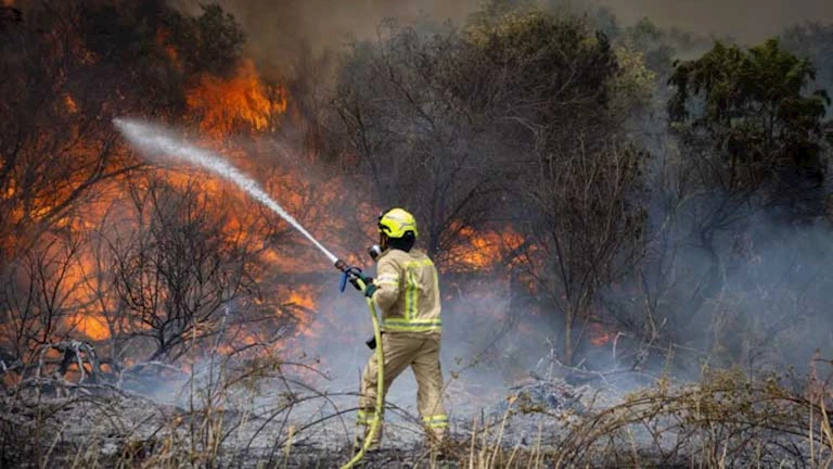 إسرائيل: الحرائق في جبال القدس التهمت أكثر من 24 ألف دونم من الأراضي