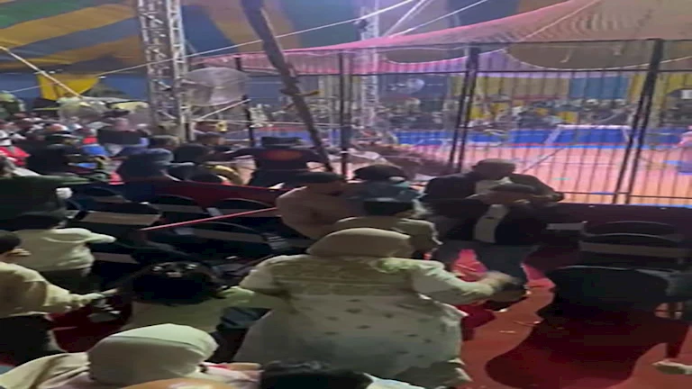 يأكل 10 دجاجات يوميًا ويشرب 12 كيلو لبن.. ماذا نعرف عن النمر “بوكا” بطل واقعة سيرك طنطا؟ -صور